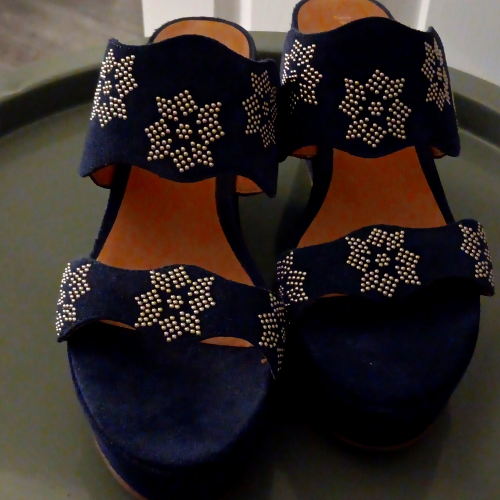 Jack Rogers  10M Navy Blue Wedge sandals